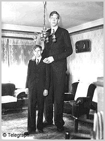 Robert Wadlow and brother